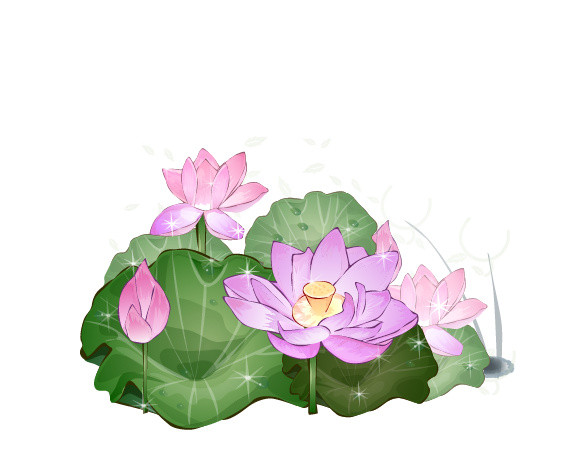 闪亮荷花素材