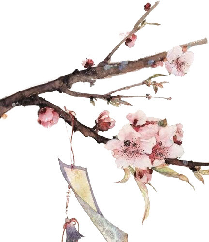 花朵花瓣装饰素材