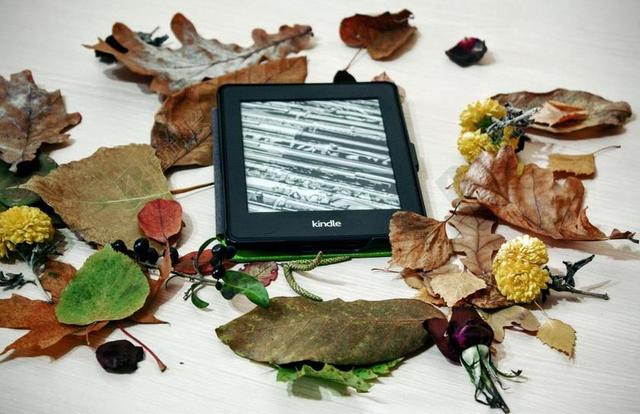 黑色物品纹理落叶上的黑色KINDLE背景图片