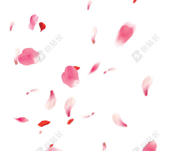 花朵花瓣装饰素材