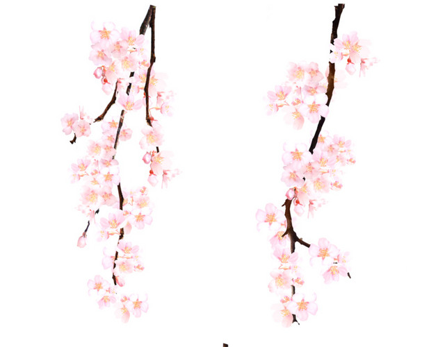花朵花瓣装饰素材