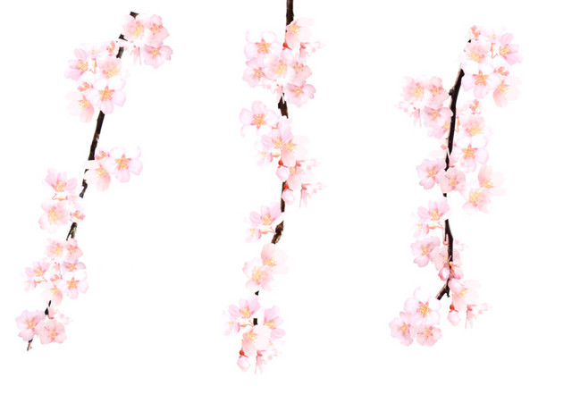 花朵花瓣装饰素材