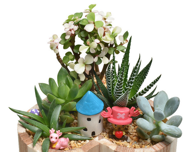 植物盆栽素材