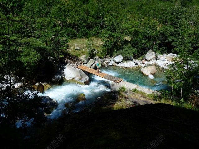 河 过独身生活 山间溪流 桥 木桥 交叉 谷 森林 石头
