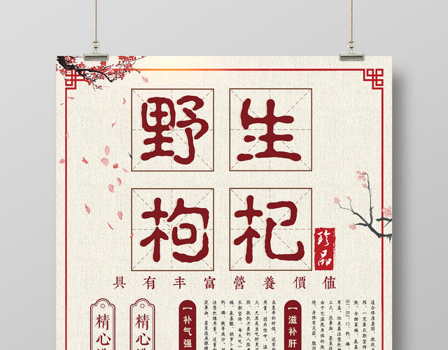 保健品精心选材野生枸杞海报设计