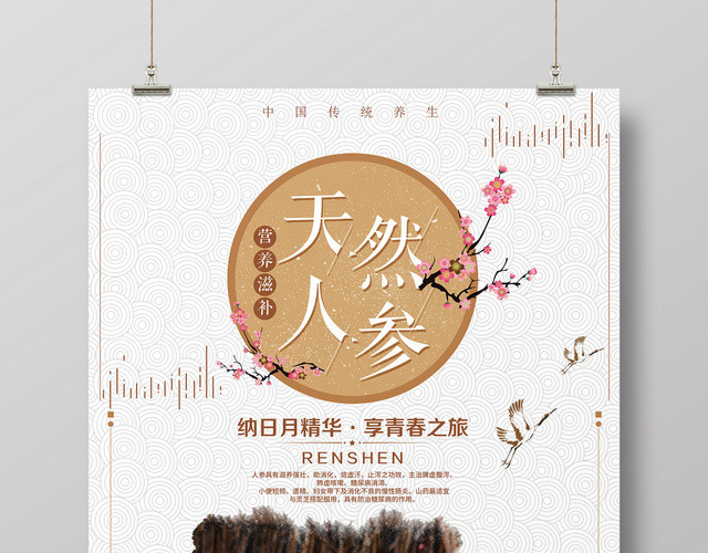 保健品天然人参营养滋补简约海报
