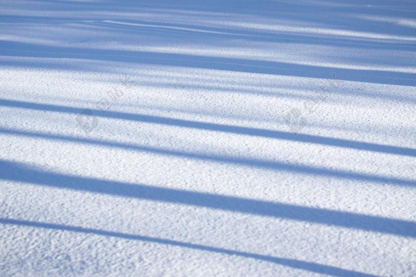 景观景色季节自然冬天寒冷下雪覆盖地面白雪太阳阳光影子条纹背景图片