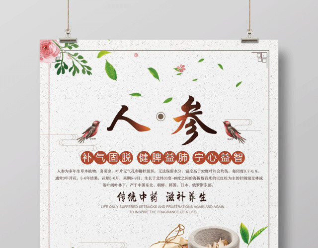 白色简约保健品人参海报