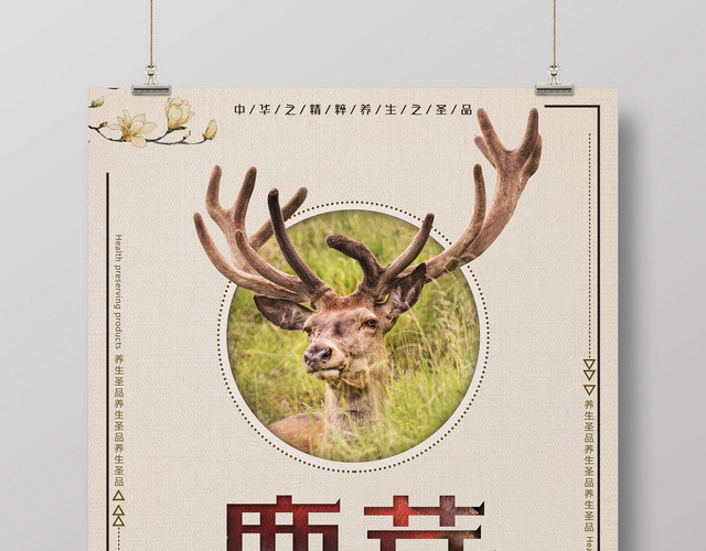 保健品鹿茸中华之精粹养生之圣品宣传海报