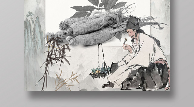 保健品养生人参中国传统医药理论简约海报