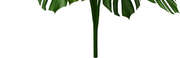 水彩植物元素