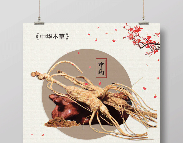 保健品人参滋补养生宣传海报
