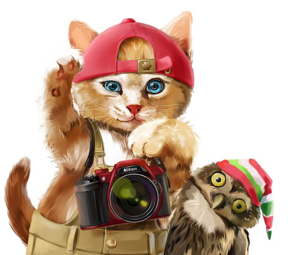 手绘猫和猫头鹰素材