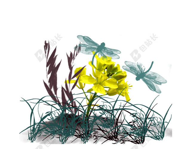 黄色油菜花矢量图片