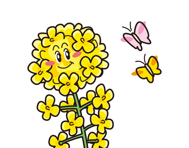 黄色油菜花矢量图片