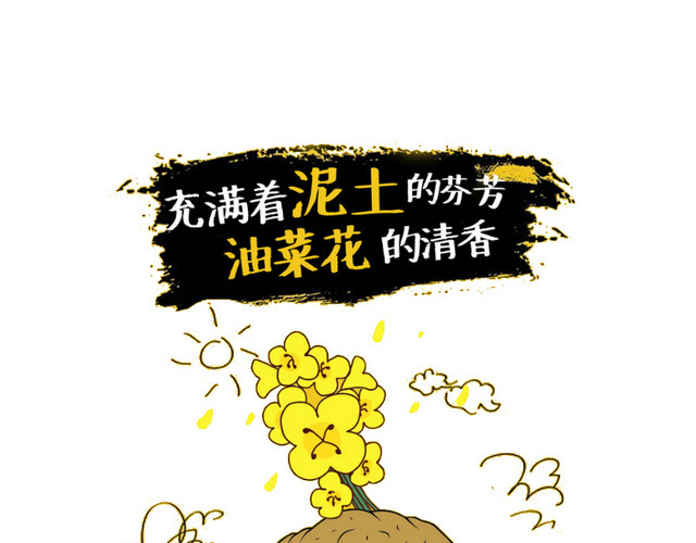 黄色油菜花矢量图片