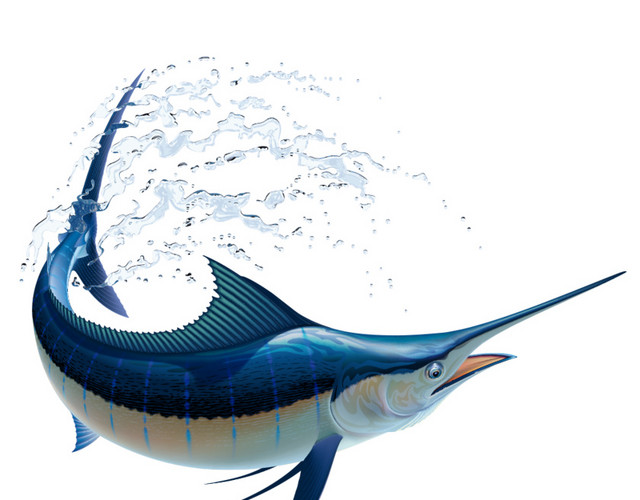 海洋生物
