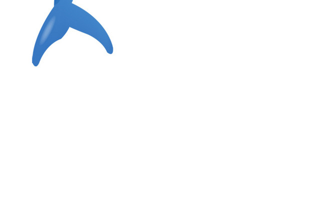 海豚