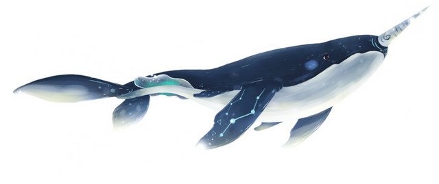 海豚
