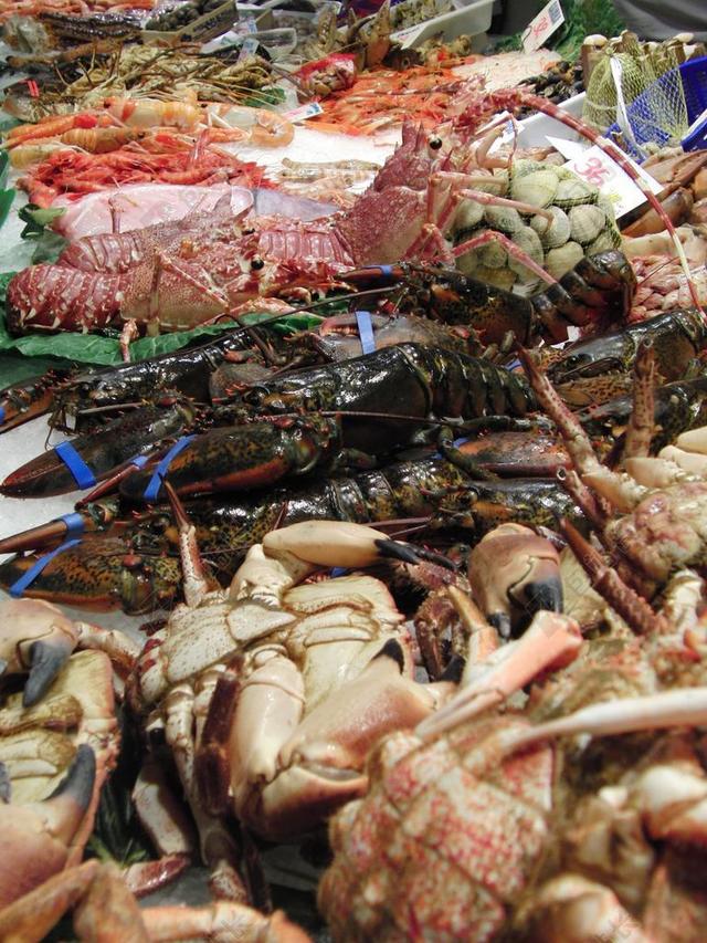 海边当地市场食材海鲜新鲜眼花缭乱品种丰富背景图片