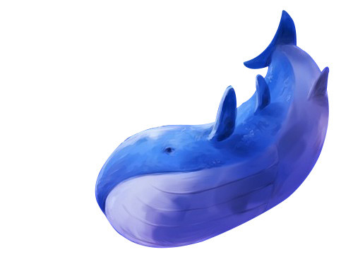彩色海豚