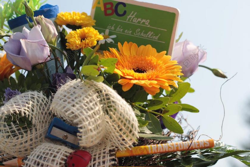 培训 花束 SCHULTüTE 插花 礼物