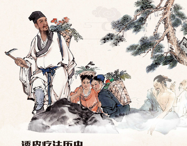 中医国粹百年传承养生海报