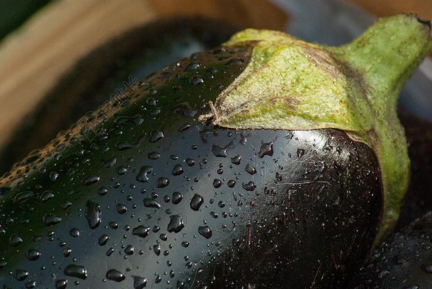 蔬菜 茄子 市场 菜园