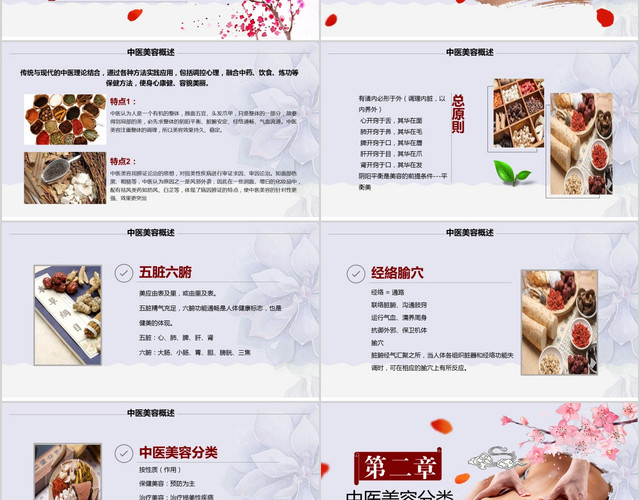 复古中国风中国传统医学中医养生PPT模板