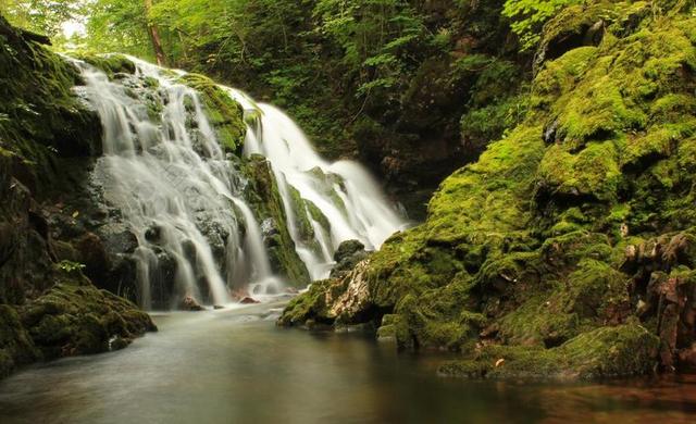 瀑布 过独身生活 森林 水 水域 私语 景观 岩 溅 泡沫