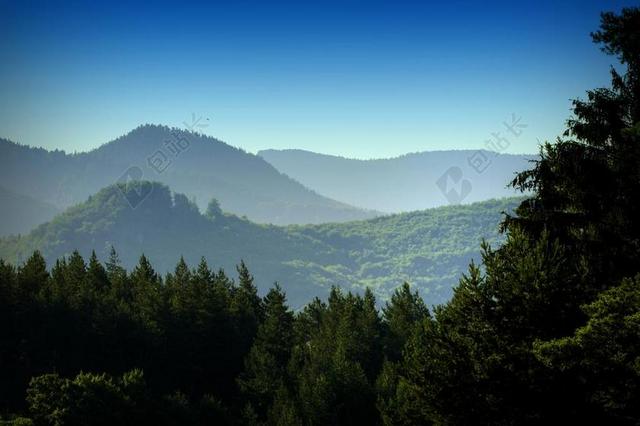 森林 山 性质 树 景观 早晨 视图 云杉林 碧落