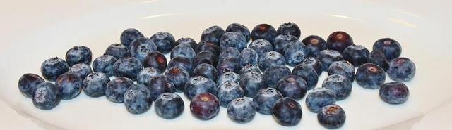 蓝莓 浆果 食品 健康 弗里施 甜 生物 成熟 原料 蓝色