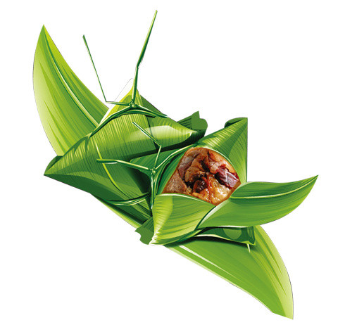 粽子粽子叶肉粽子
