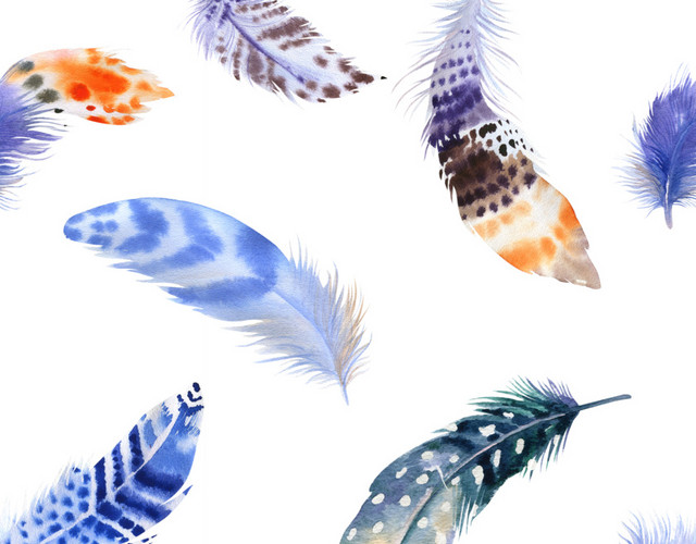 手绘彩色羽毛水彩飘落插画