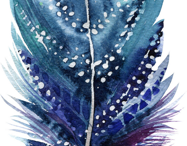 手绘羽毛插画装饰素材