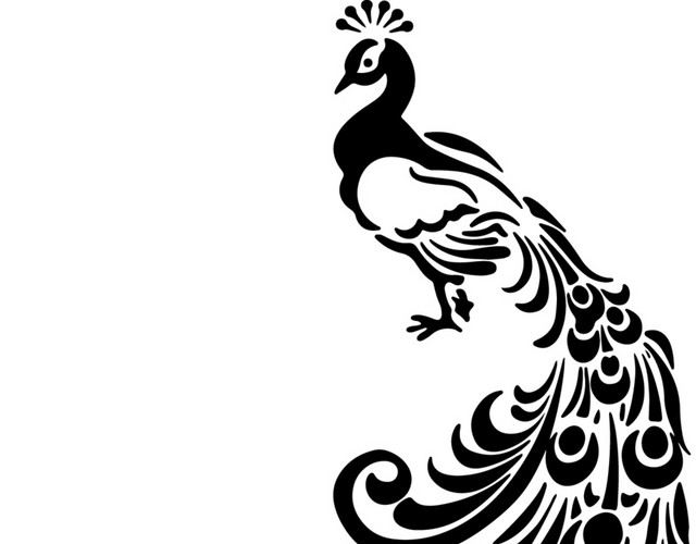 黑色扁平插画孔雀素材