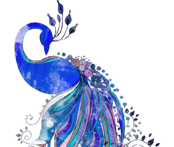 蓝色绚丽孔雀水彩插画