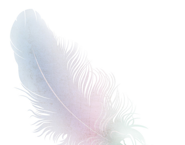 清新梦幻羽毛插画素材