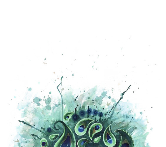绚丽孔雀手绘插画素材