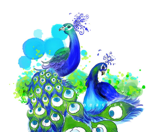 卡通绚丽孔雀手绘插画