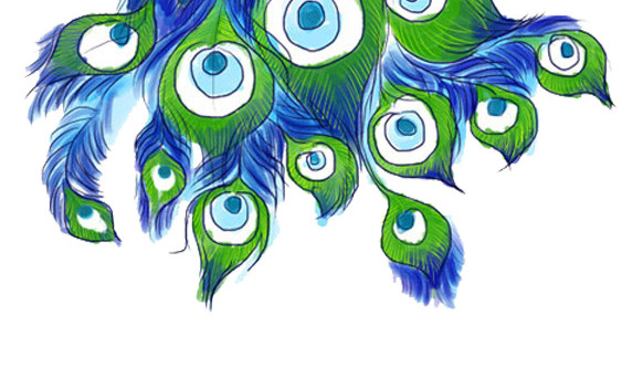 卡通绚丽孔雀手绘插画