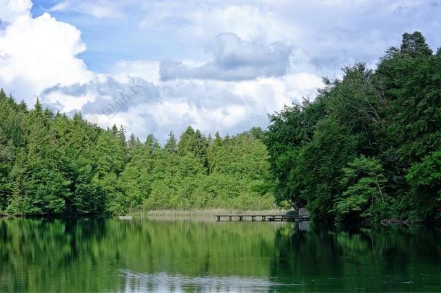 湖 森林 树木 云 性质 天空 景区 和谐 休息 绿色