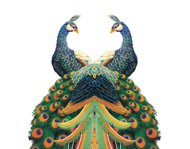 对称孔雀手绘插画素材