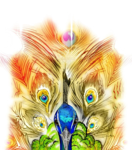 手绘抽象孔雀彩色插画