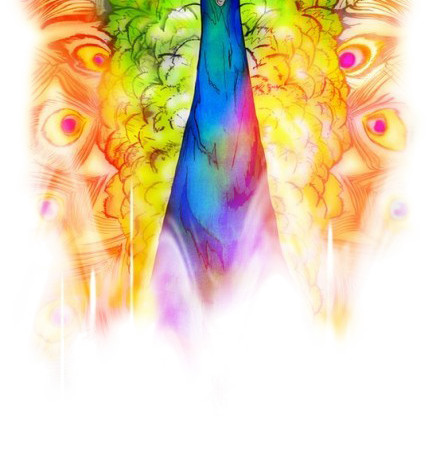 手绘抽象孔雀彩色插画