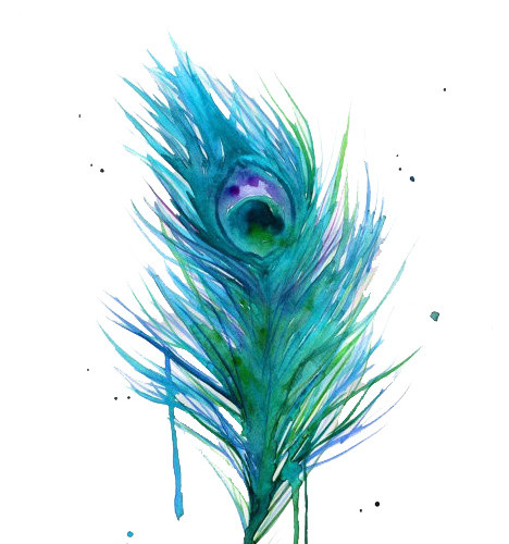 手绘孔雀尾巴羽毛水彩插画
