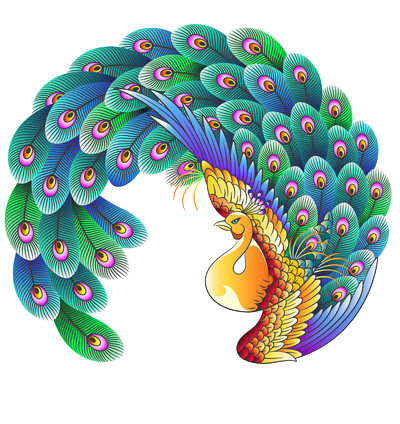 创意卡通孔雀插画素材