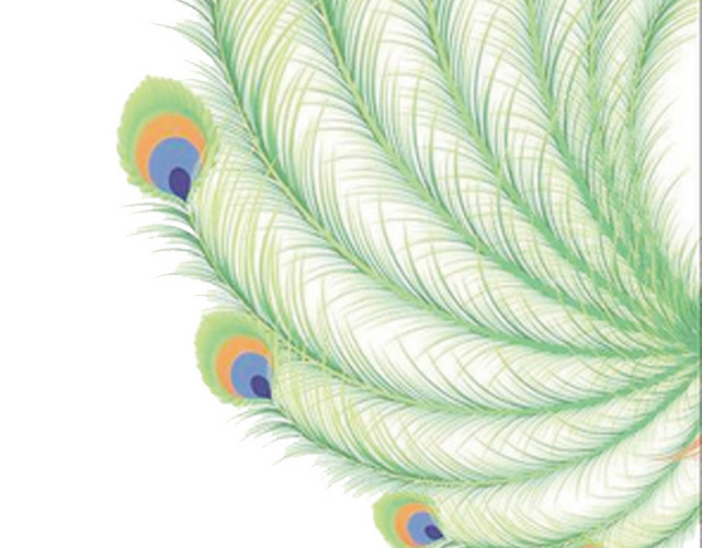 清新手绘孔雀尾巴插画素材