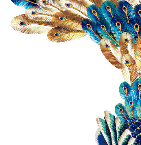 卡通孔雀手绘插画素材