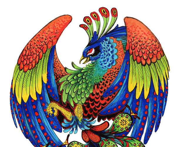 手绘绚丽孔雀插画素材